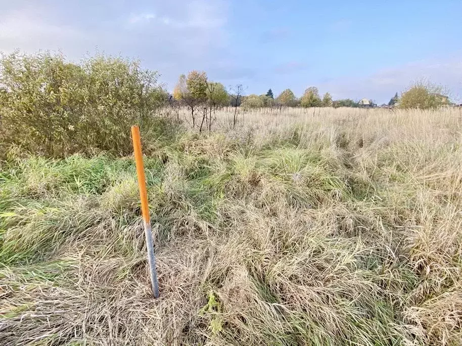 Участок в Московская область, Рузский городской округ, д. Мамошино  ... - Фото 1