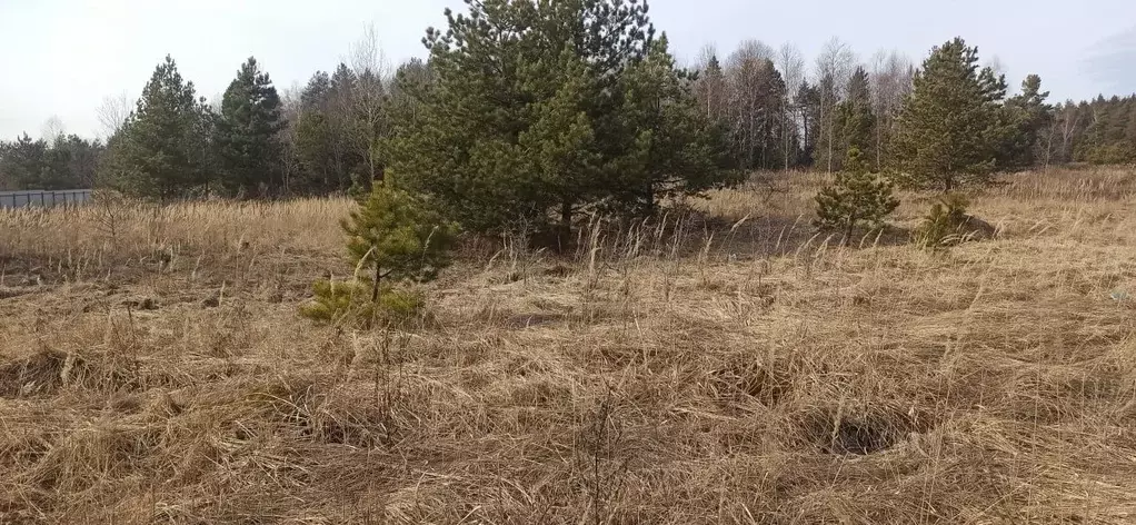 Участок в Московская область, Шатура муниципальный округ, д. ... - Фото 0