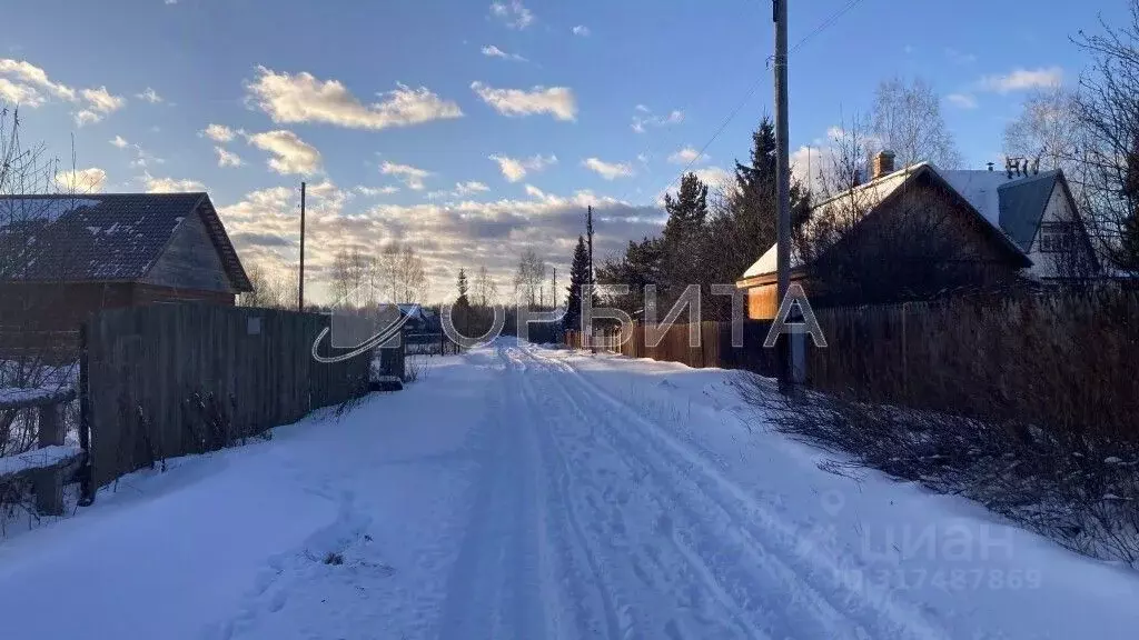 Участок в Тюменская область, Нижнетавдинский район, д. Штакульская ... - Фото 1