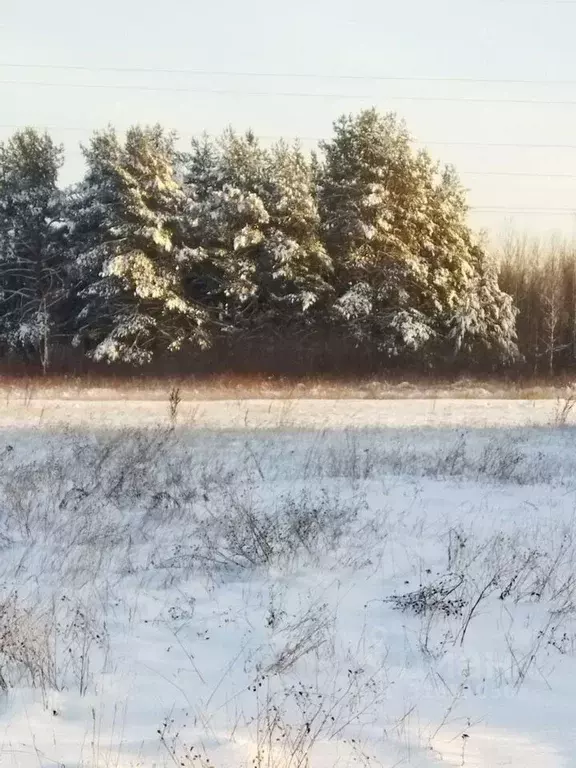 Участок в Тверская область, Калининский муниципальный округ, д. ... - Фото 0