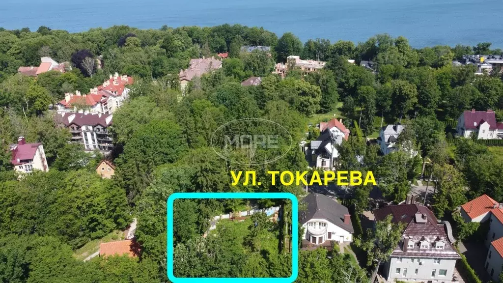 Участок в Калининградская область, Светлогорск ул. Токарева (8.0 сот.) - Фото 1