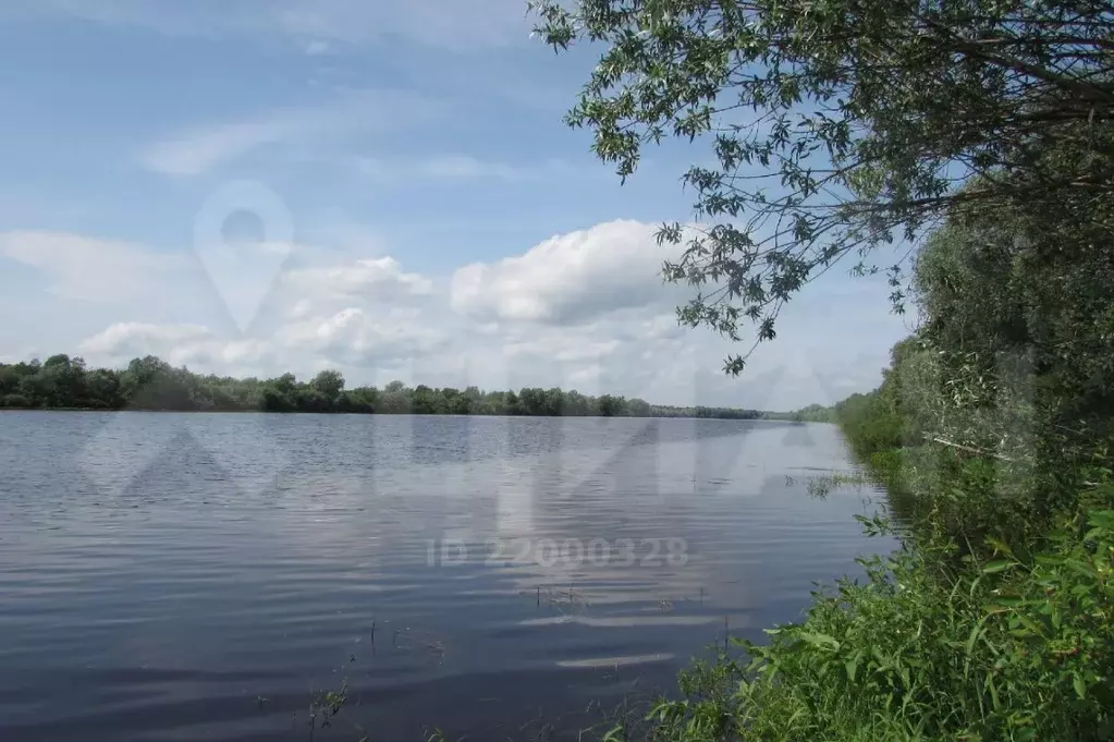 Погода в пола новгородской. Река Ловать Парфино. Река в Парфино. Река Ловать Новгородская область.