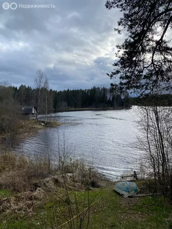 Участок в Новгородская область, Валдайский муниципальный район, ... - Фото 2