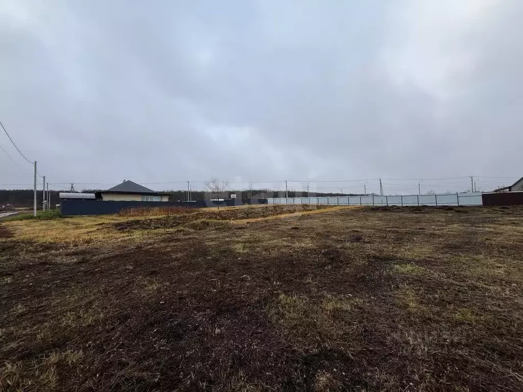 Участок в Мордовия, Саранск городской округ, Николаевка рп  (15.0 ... - Фото 1