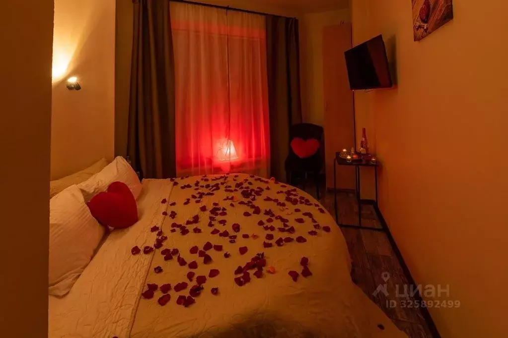 Комната Московская область, Люберцы городской округ, д. Островцы ул. ... - Фото 2