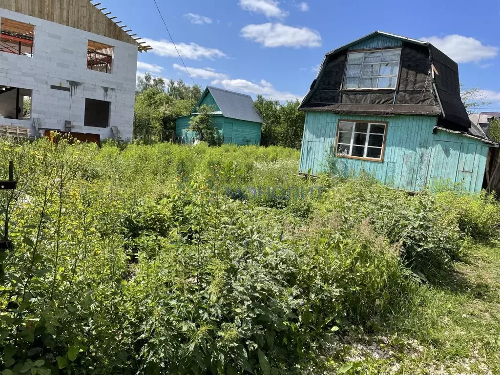 Участок в Нижегородская область, Нижний Новгород Маяк садовое ... - Фото 2