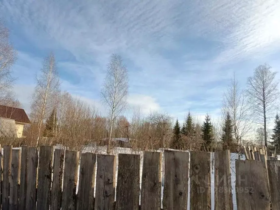 Участок в Пермский край, Березники ул. Прохладная, 13 (14.1 сот.) - Фото 2