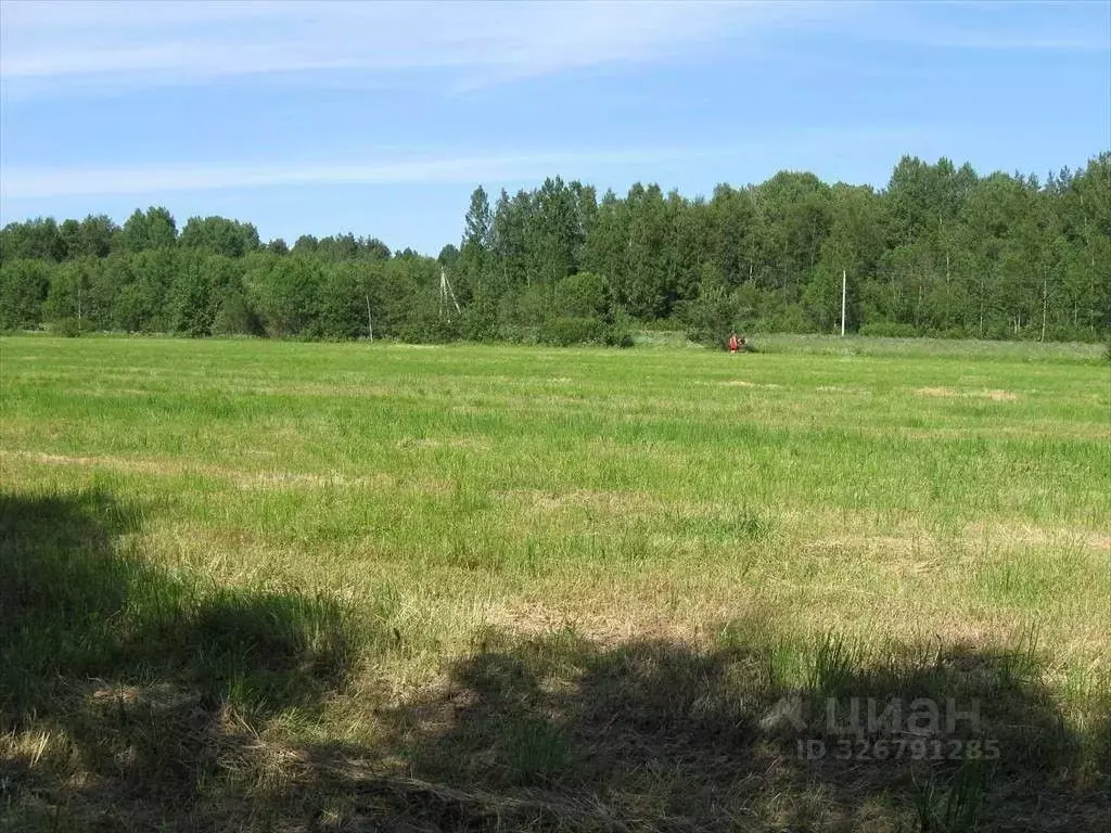 Участок в Ленинградская область, Выборгский район, пос. Красносельское ... - Фото 1