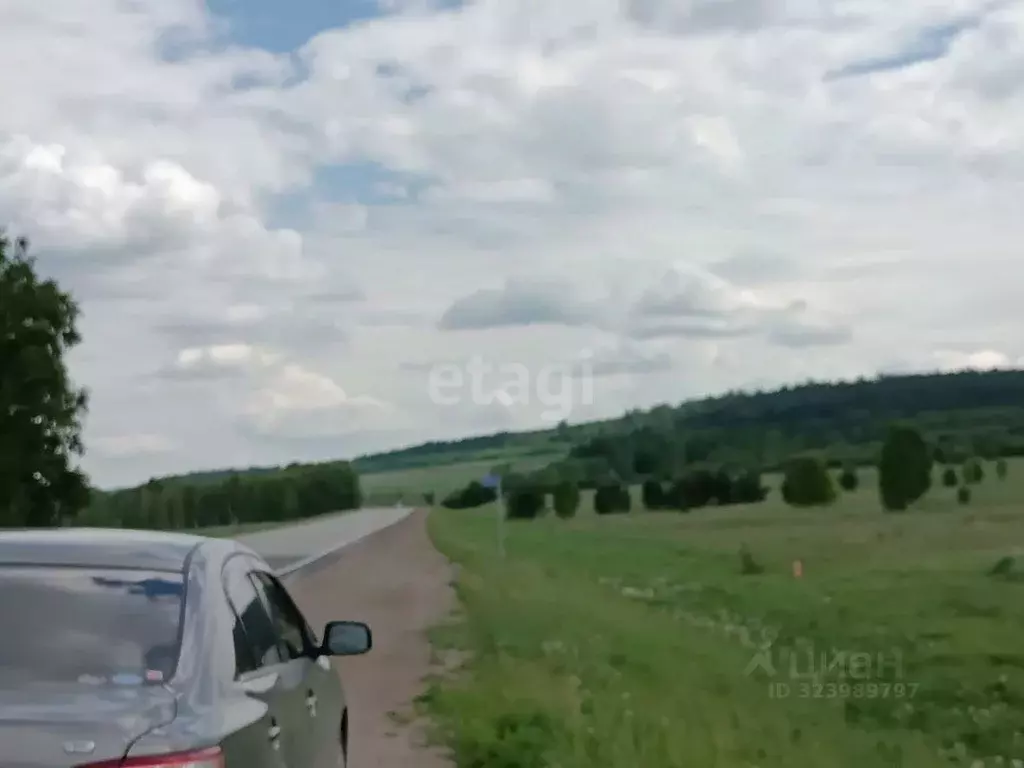 Участок в Иркутская область, Залари рп  (2000.0 сот.) - Фото 2