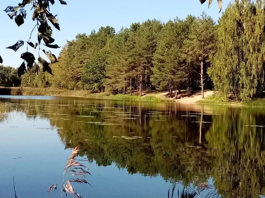 2-к кв. Ленинградская область, Лужский район, д. Ретюнь ул. ... - Фото 1