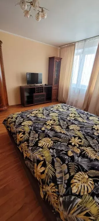 1-к кв. Московская область, Солнечногорск Рекинцо-2 мкр, ул. ... - Фото 1