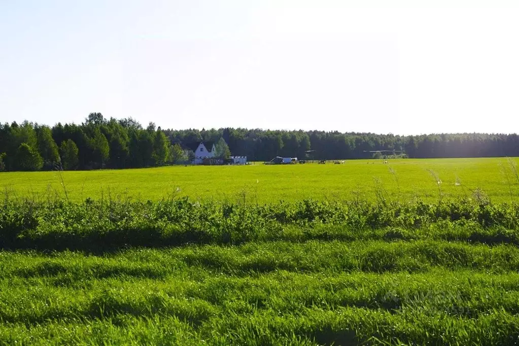 Участок в Московская область, Раменский городской округ, д. Васильево  ... - Фото 1