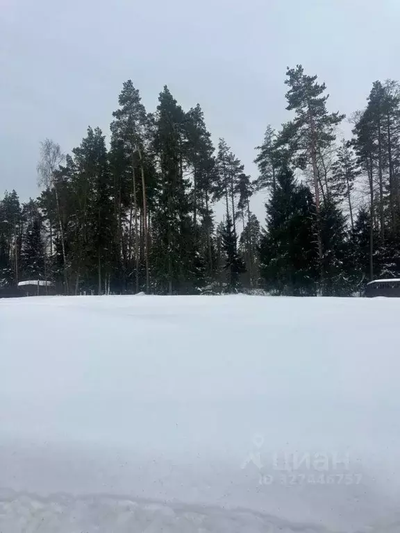 Участок в Московская область, Богородский городской округ, Николин Луг ... - Фото 2