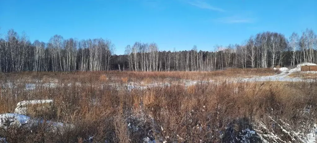 Участок в Свердловская область, Верхняя Пышма Черемушки-5 СНТ,  (10.0 ... - Фото 1