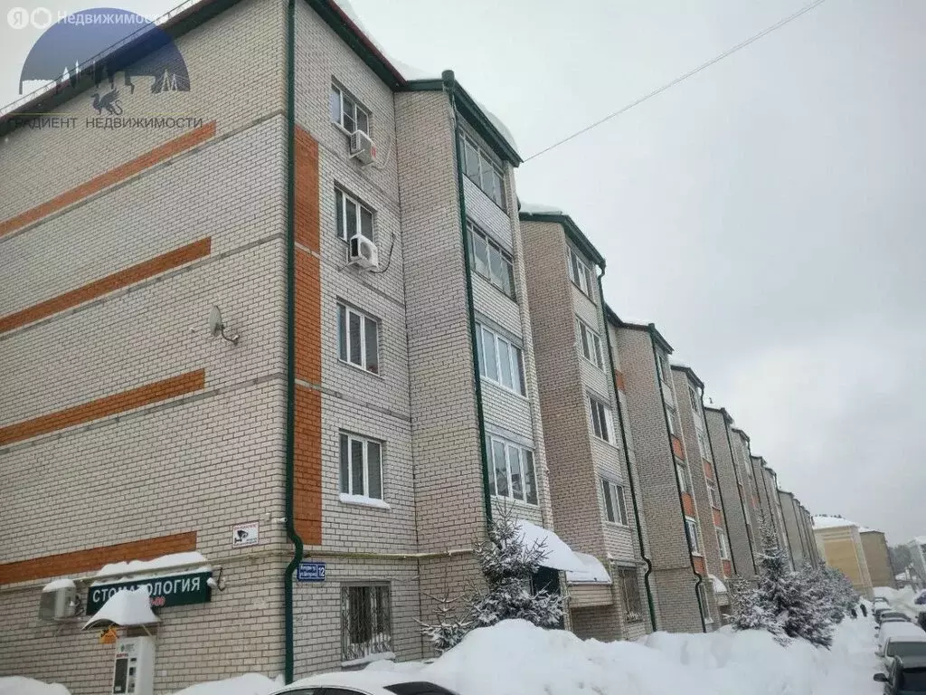 2-комнатная квартира: село Высокая Гора, улица Мичурина, 12 (60.2 м) - Фото 1