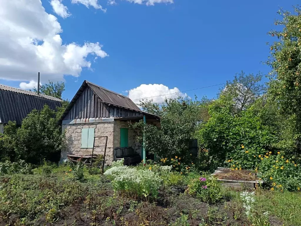 Дом в Липецкая область, Липецк Авторемонтник СТ, 2-я линия (30 м) - Фото 2