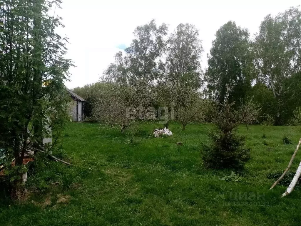 Дом в Нижегородская область, Починковский муниципальный округ, с. ... - Фото 1