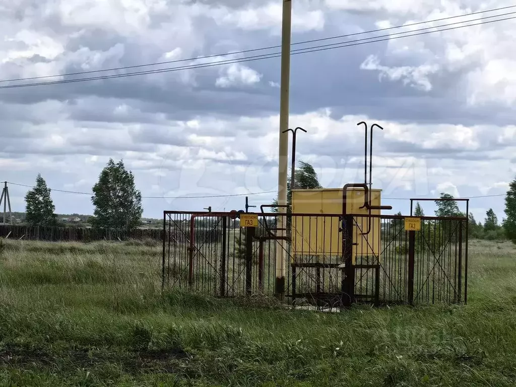 Участок в Курганская область, Кетовский муниципальный округ, ... - Фото 1