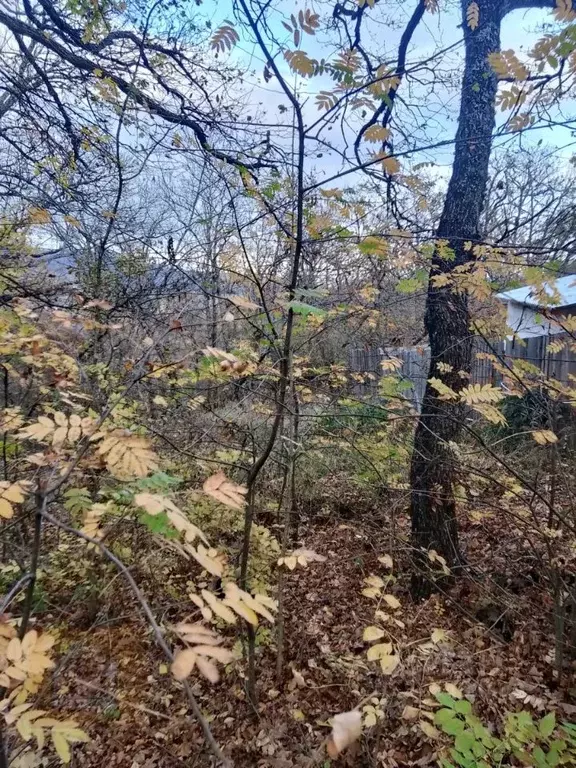 Участок в Крым, Алушта муниципальный округ, с. Изобильное ул. ... - Фото 1