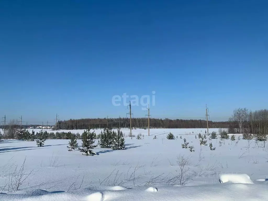 Участок в Кировская область, Кирово-Чепецкий район, Федяковское с/пос, ... - Фото 0