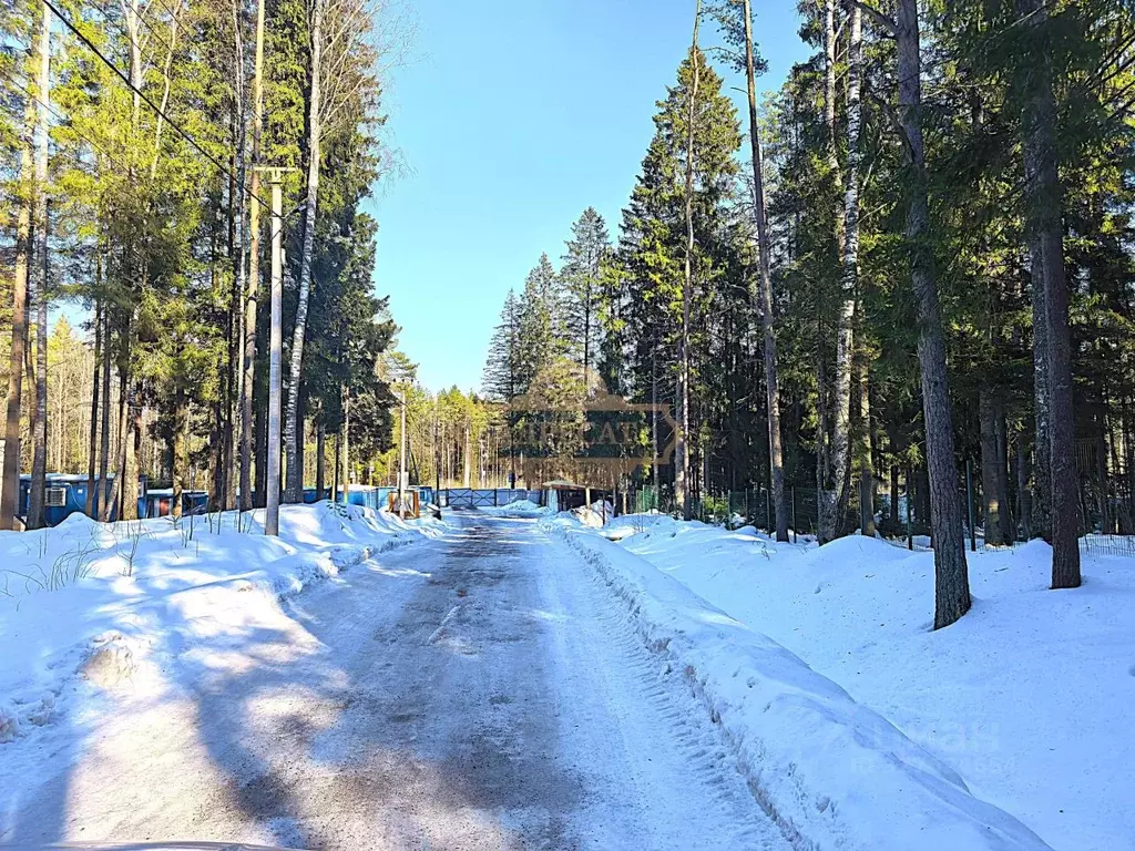 Участок в Ленинградская область, Всеволожский район, Юкковское с/пос, ... - Фото 2