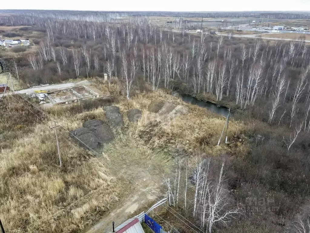 Участок в Тюменская область, Тюмень Якорь садовое товарищество, ул. ... - Фото 1
