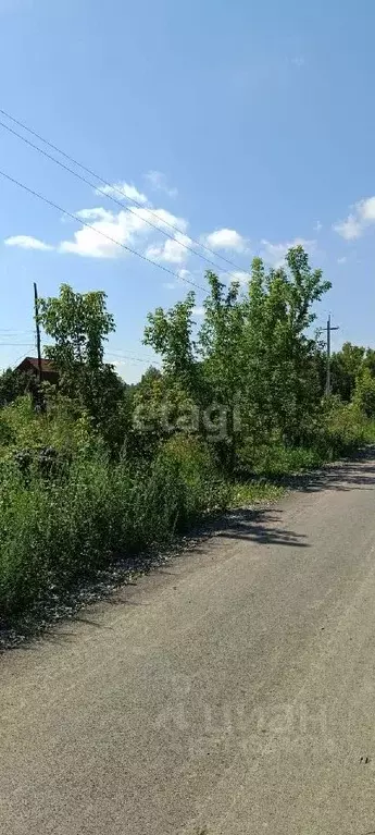 Участок в Алтайский край, Барнаул муниципальное образование, пос. ... - Фото 1