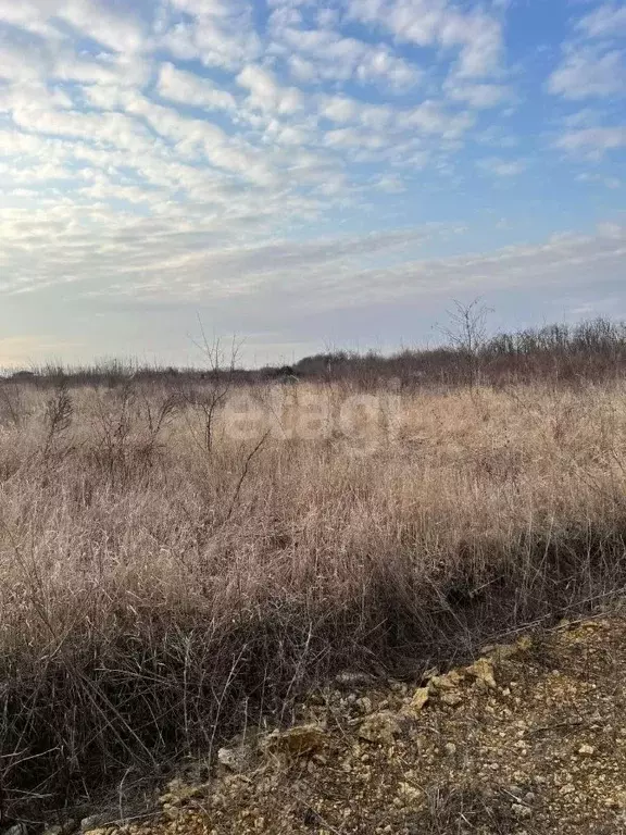 Участок в Ростовская область, Аксайский район, Старочеркасская ст-ца  ... - Фото 1