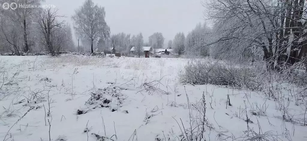 Участок в Шекснинский район, сельское поселение Угольское, деревня ... - Фото 0