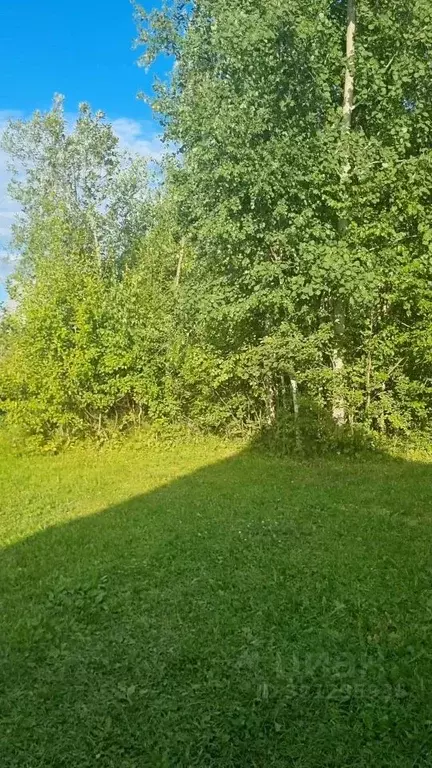 Участок в Удмуртия, Завьяловский район, Мирный СНТ 616 (6.4 сот.) - Фото 1