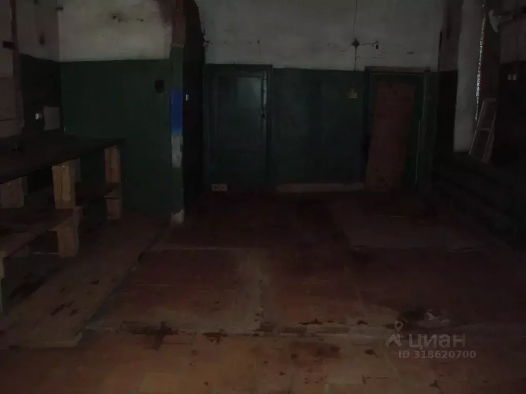 Помещение свободного назначения в Архангельская область, с. ... - Фото 1