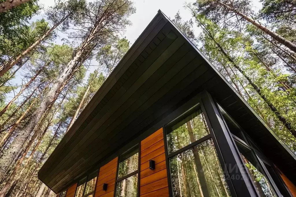 Дом в Новосибирская область, Маслянинский район, д. Чупино ул. ... - Фото 1