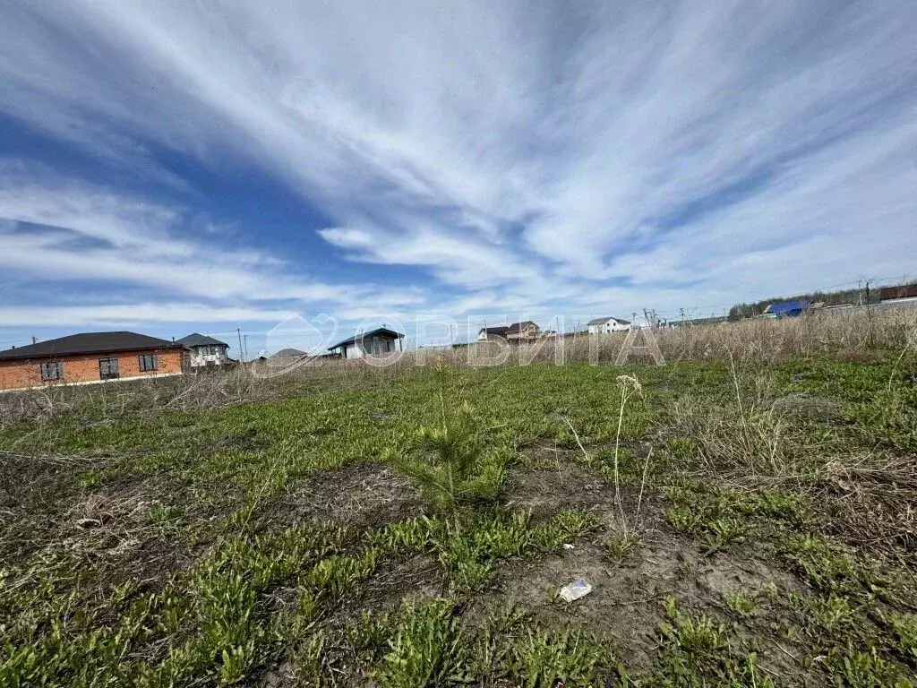 Участок в Тюменская область, Тюменский район, с. Кулига ул. ... - Фото 2