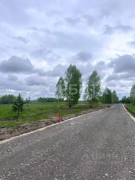 Участок в Тюменская область, Нижнетавдинский район, Сундукуль СНТ  ... - Фото 1