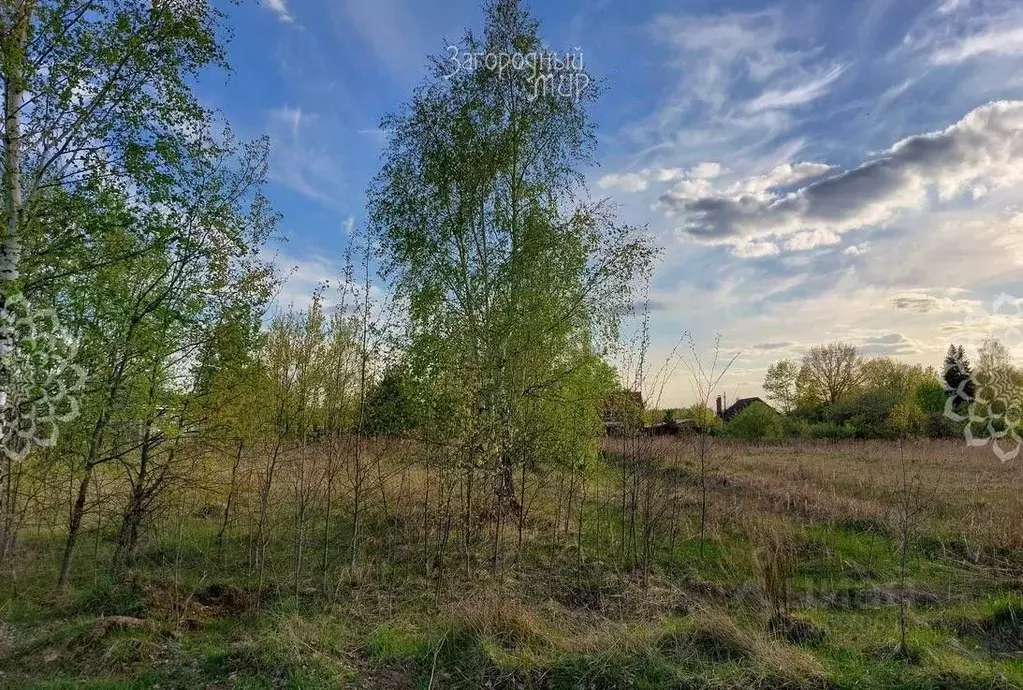 Участок в Московская область, Богородский городской округ, Навигатор ... - Фото 0