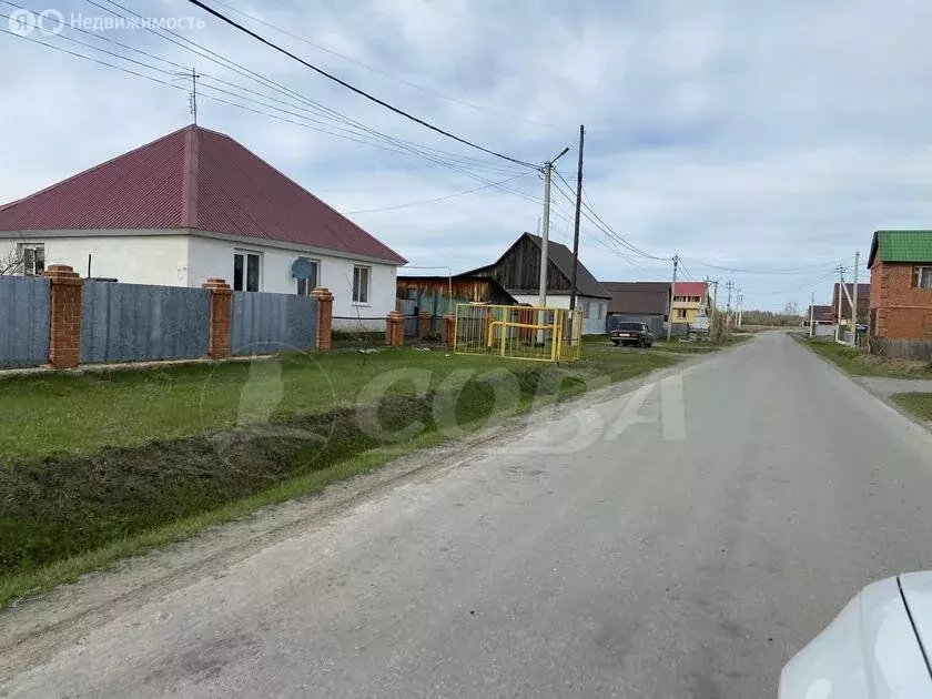 Участок в Тюменский муниципальный округ, село Борки (10 м) - Фото 2