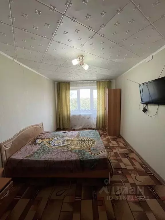 1-к кв. Оренбургская область, Ясный ул. Парковая, 18 (30.2 м) - Фото 0