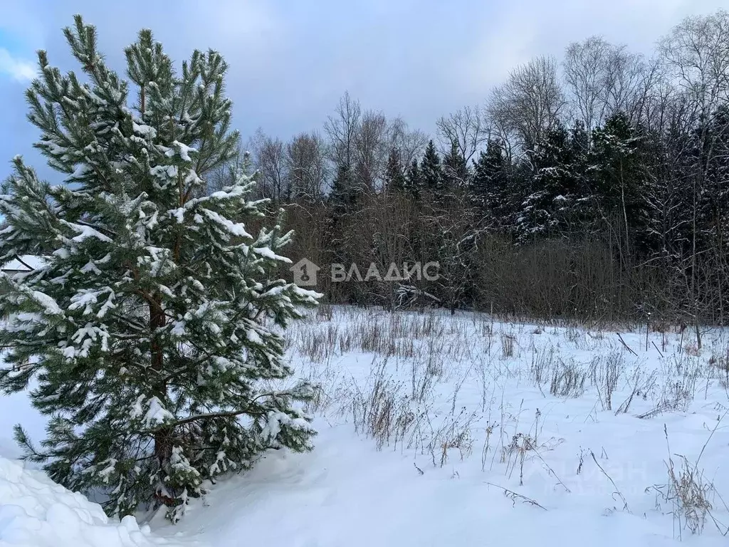 Участок в Московская область, Щелково городской округ, Медвежье Озеро ... - Фото 0