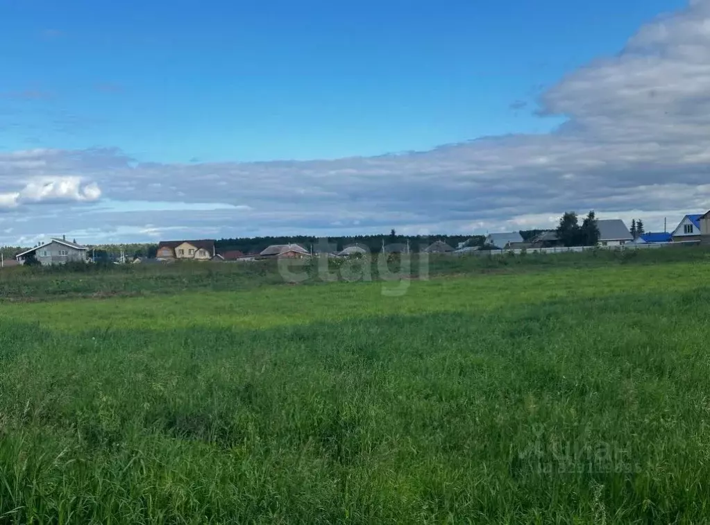 Участок в Тюменская область, Тюменский муниципальный округ, с. Успенка ... - Фото 2