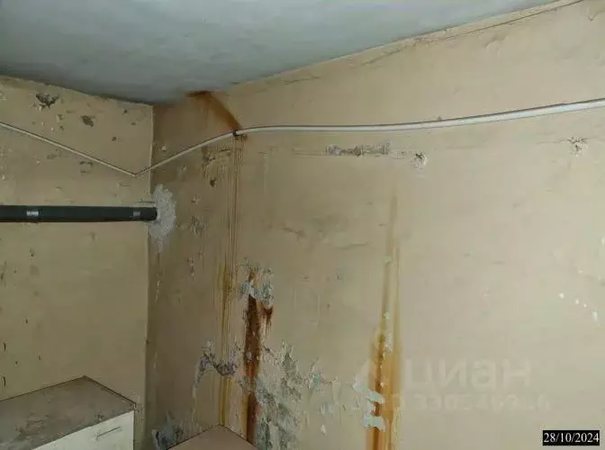 Помещение свободного назначения в Нижегородская область, Нижний ... - Фото 1