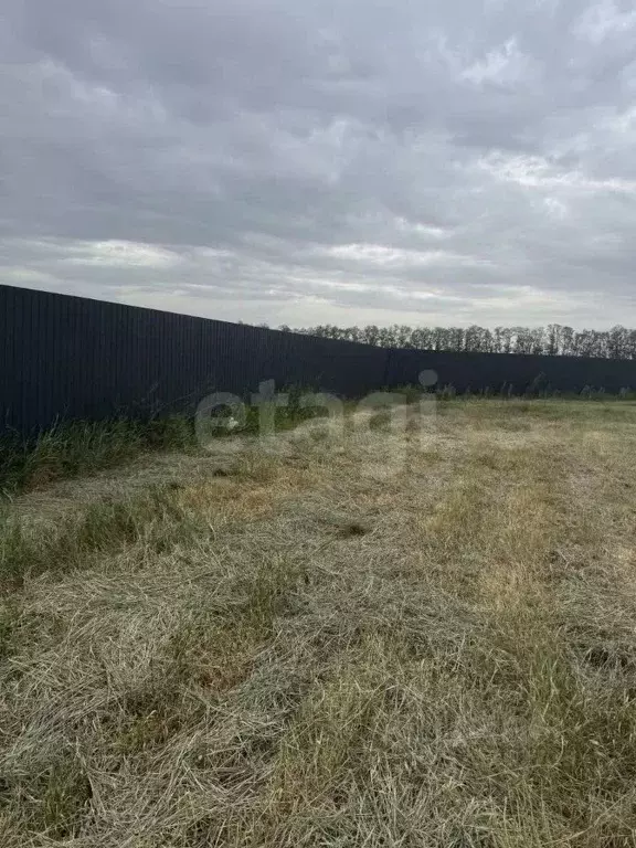 Участок в Ростовская область, Мясниковский район, Краснокрымское ... - Фото 1