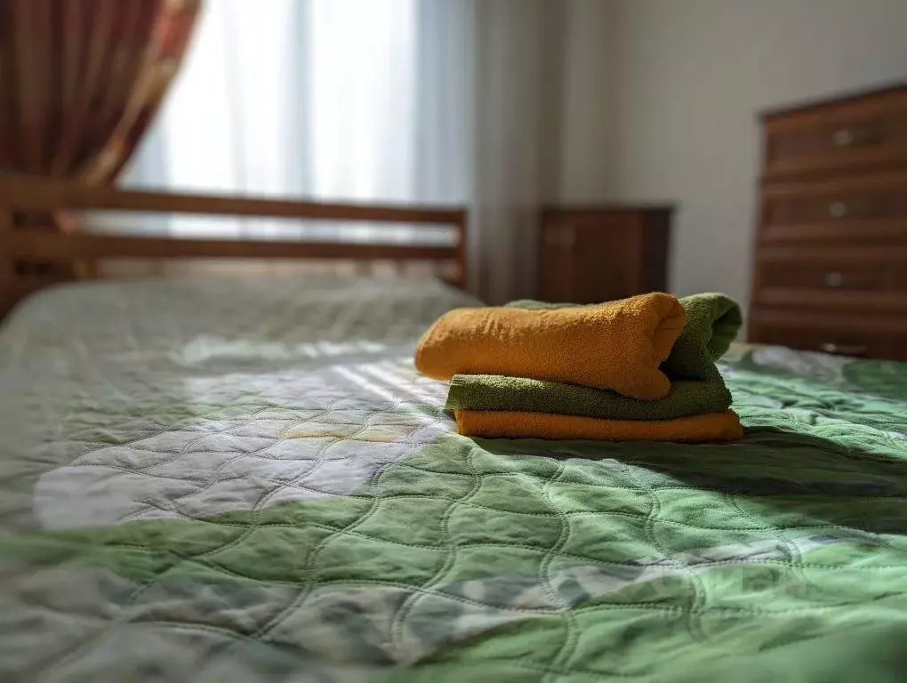 1-к кв. Калининградская область, Калининград Московский просп., 9 ... - Фото 1