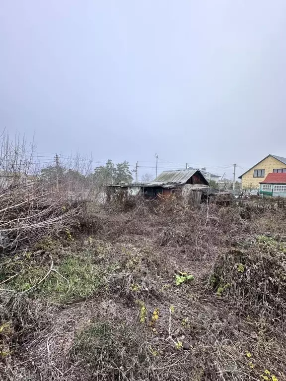 Участок в Волгоградская область, Волгоград Дзержинец СНТ, Винновский ... - Фото 1