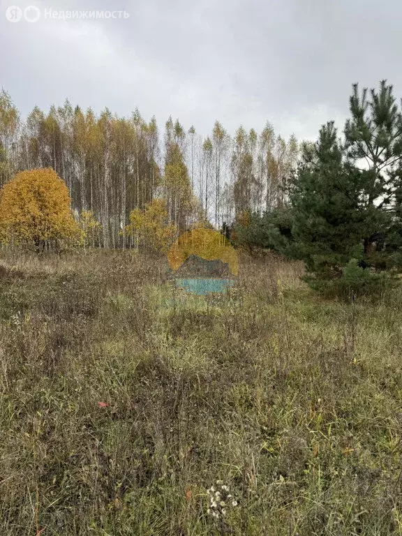 Участок в Тверская область, Конаковский муниципальный округ, деревня ... - Фото 2