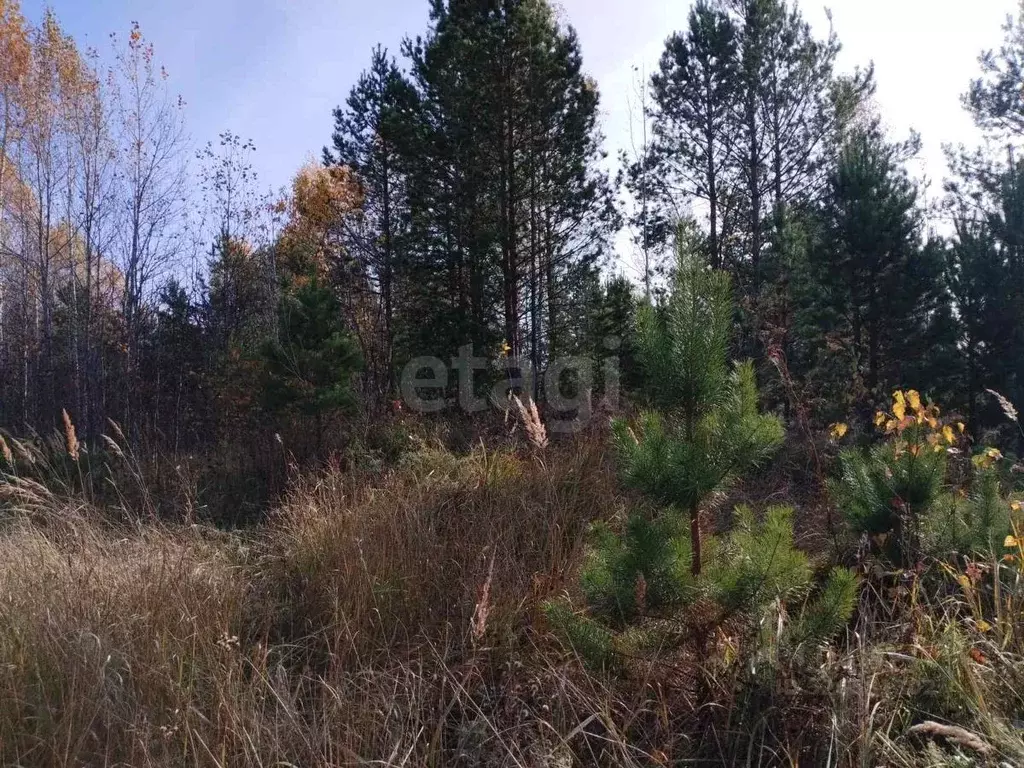 Участок в Тюменская область, Нижнетавдинский муниципальный округ, д. ... - Фото 1