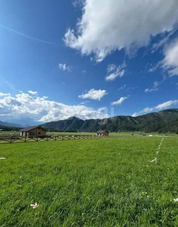 Участок в Алтай, Чемальский район, с. Чепош  (12.66 сот.) - Фото 1