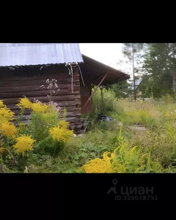Дом в Ленинградская область, Лужский район, Мшинское с/пос, Мшинская ... - Фото 1