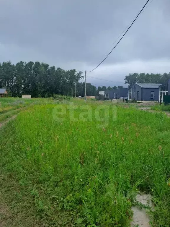 Участок в Новосибирская область, Новосибирский район, Морской ... - Фото 1