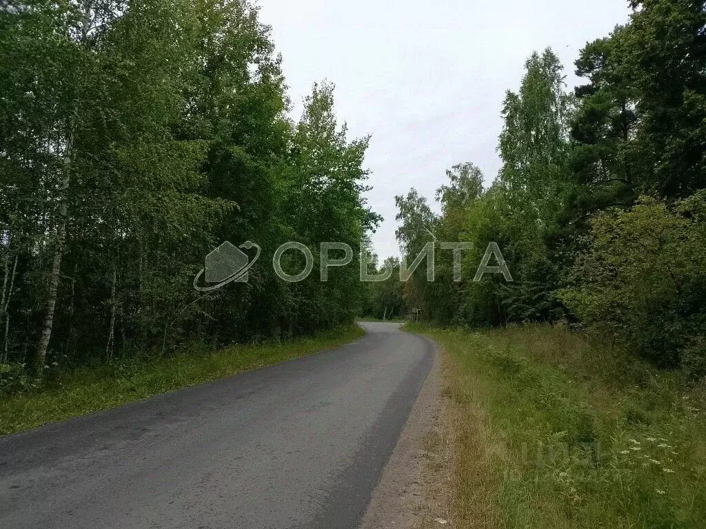 Участок в Тюменская область, Нижнетавдинский район, Сундукульский ... - Фото 2