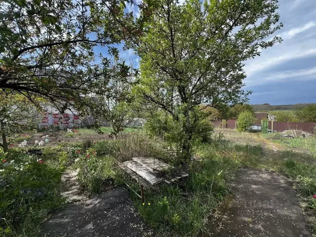 Участок в Белгородская область, Белгородский район, Никольское с/пос, ... - Фото 0
